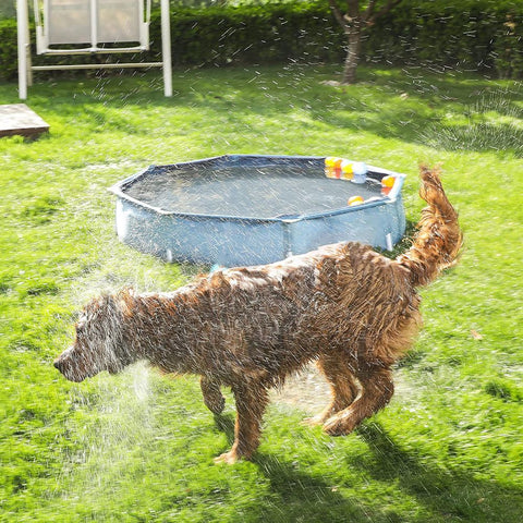 Rootz Dog Pool - Foldable Dog Pool - Dog Swimming Pool - Foldable Pet Pool - Outdoor Dog Pool - Easy To Clean - Blue
