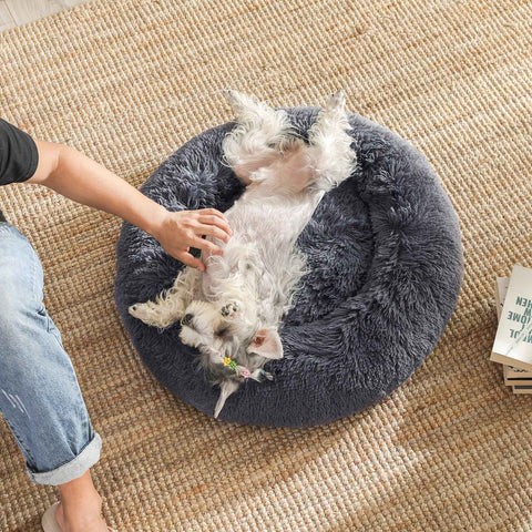 Rootz Dog Bed - Pet Bed - Round Dog Bed - Washable Dog Bed - Travel Dog Bed - Dog Sofa - Pet Sofa - Dark Grey - 60 x 20 cm