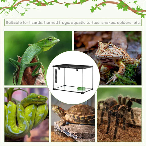 Rootz Terrarium – Terrarium für Reptilien – Reptilien-Futterbox – Glasterrarium – Amphibien-Spinnentiere mit Thermometer, Reptilien-Zuchtbox – Metall – Schwarz – 50 x 30 x 35 cm