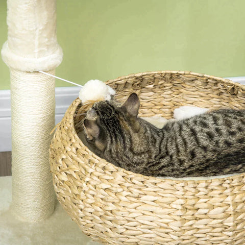 Rootz Scratching Post - Two Cat Beds - With Washable Cushions - Two Scratching Posts - Toy Ball - Beige/Cream White - 48 x 48 x 72cm