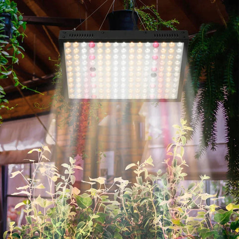 Rootz Pflanzenlampe – LED-dimmbare Wachstumslampe – Vollspektrum – Wachstumslampe mit 150 Stück – LEDs für Blumen, Gemüse, Zimmerpflanzen – Schwarz – 31 x 21 x 3,5 cm