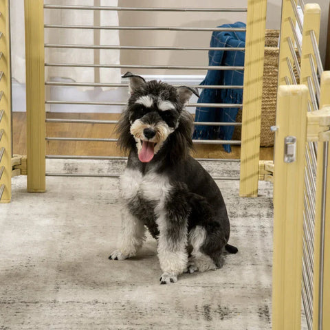 Rootz Dierenbox - Dierenbox - Puppybox - In maat verstelbaar - Hout-kunststof composiet/roestvrij staal - Natuurlijk hout - 67,5-131,5L x 43,5-75,5B x 64,5H cm