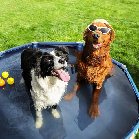Rootz Dog Pool - Foldable Dog Pool - Dog Swimming Pool - Inflatable Dog Pool - Outdoor Dog Pool - Non-slip Dog Pool - PVC - Polyester - Blue - 120 x 30 cm (ø x h)