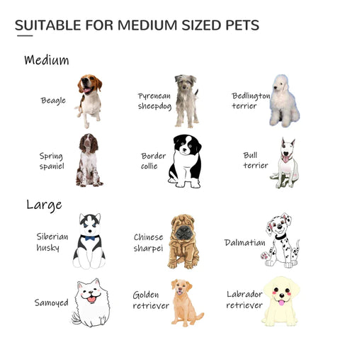 Rootz Huisdierbox - Buitenrenbox - Konijnenpuppykooi - Hondenhokken - Opvouwbare omheining - Tuin - Metalen hok - Zwart - 79 x 100 cm