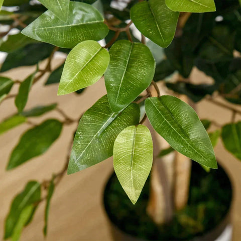 Rootz Artificial Plant - Artificial Ficus Design Plant - 1008 Leaves - Home - Office - Outdoors - PEVA - PE - Cement - Green - 17cm x 17cm x 150cm