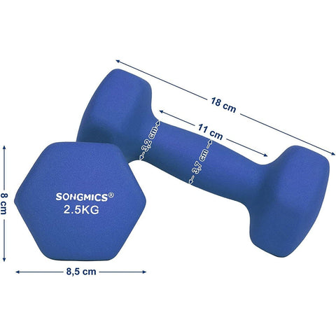 Rootz Dumbbells Set - 2,5 kg per Dumbell - Blauw Dumbells - Gewichten en Dumbbells - 2 Stuks
