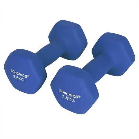 Rootz Dumbbells Set - 2,5 kg per Dumbell - Blauw Dumbells - Gewichten en Dumbbells - 2 Stuks