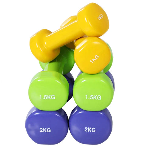 Rootz Dumbbell Set - 4 Pairs Of Dumbbells With Case - Iron + Plastic - Red + Yellow + Green + Purple - 41L x 30W x 8H cm