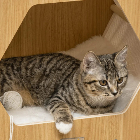 Rootz Cat Cave Including Washable Cushions - Modern Design - Natural + White + Beige - 49.5 cm x 38.5 cm x 43.5 cm