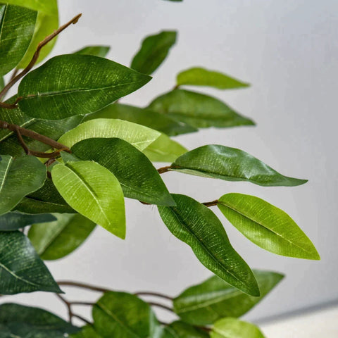 Rootz Artificial Plant - Artificial Ficus Design Plant - 1008 Leaves - Home - Office - Outdoors - PEVA - PE - Cement - Green - 17cm x 17cm x 150cm