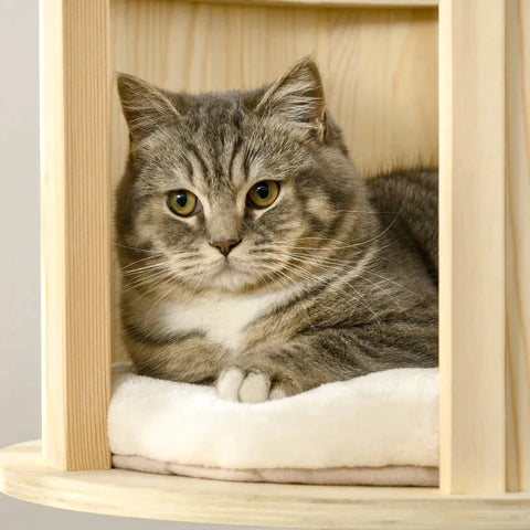 Rootz Scratching Post - Cat Tree - Climbing Tree - With Cat Cave - Sisal Posts - With Play Balls - Natural/Cream - 59.5 x 59.5 x 122 cm