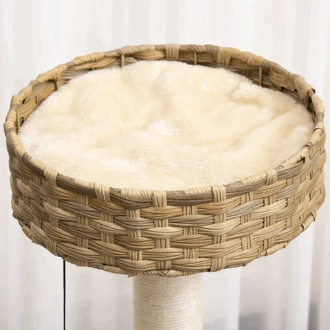Rootz Scratching Post - Cat Tree - Climbing Tree With Cat Cave - Sisal Posts - Play Balls - Cat Furniture - Nature/Beige - 55 x 47 x 95 cm