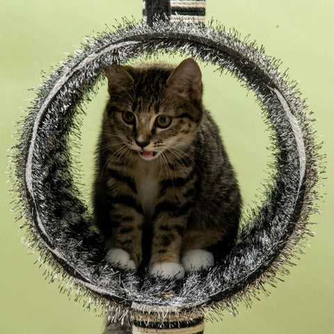 Rootz Scratching Post - Cat Climbing Tower - Cat Tree - 1 Cat Tunnel - 3 Scratching Posts - Black/White - 48.5cm x 35cm x 93cm