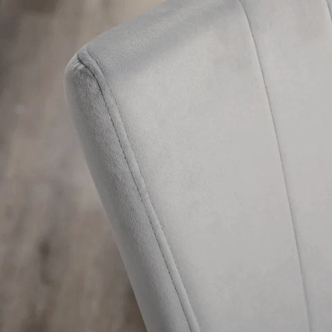 Rootz Set of 4 Dining Room Chairs - Accent Chairs - Kitchens and Dining Rooms - Chair Set - Velvet Look - Light Gray + Black - 46L x 65W x 87H cm