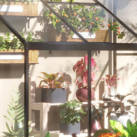 Rootz Greenhouse - Cold Frame Greenhouse - Zijtuinschuur - Met Verstelbaar Dak - Zwart/Helder - 182L x 122B x 194H cm