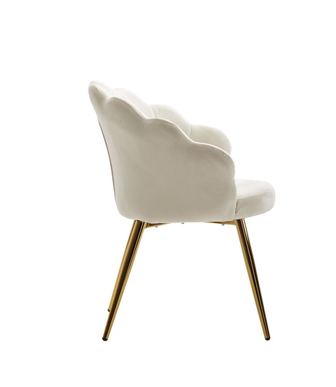 Rootz Tulip Dining Chair - Velvet White - Upholstered Kitchen Chair with Gold Legs - Scandinavian Design Shell Chair - Fabric-Covered Upholstered Chair