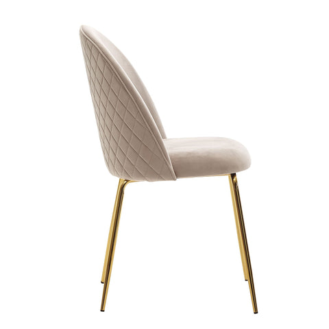 Rootz Dining Chair - Set of 2 Velvet Beige Upholstered - Kitchen Chair with Golden Legs - Scandinavian Shell Chair - Upholstered Chair with Velvet Cover