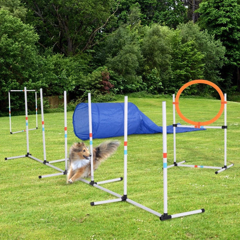 Rootz Dog Agility Set - Pets Training Set - Dog Training Set -  Dog Tunnel