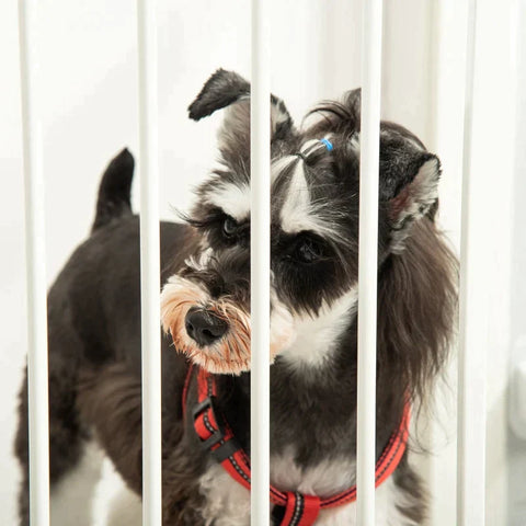 Rootz Dog Barrier - Door Gate - Pet Gate - Angle Adjustable - Foldable Configuration Gate with Automatic Closing Door - 3 Panels - White - 202.5 x 76 cm