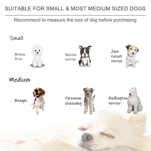 Rootz Haustiersofa – Grau – Korbgeflecht, Plüsch, PP-Baumwolle – 26,77 cm x 26,77 cm x 12,6 cm