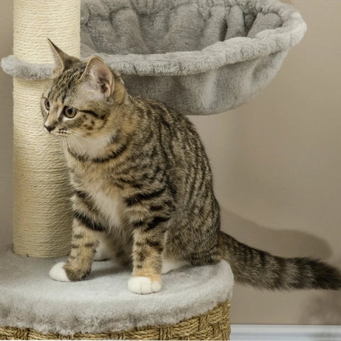 Rootz Scratching Post - Cat Climbing Tower - Cat Tree - Cat Cave - Cat Bed - With Hanging Ball - Light Grey - 60cm x 40cm x 115.5cm