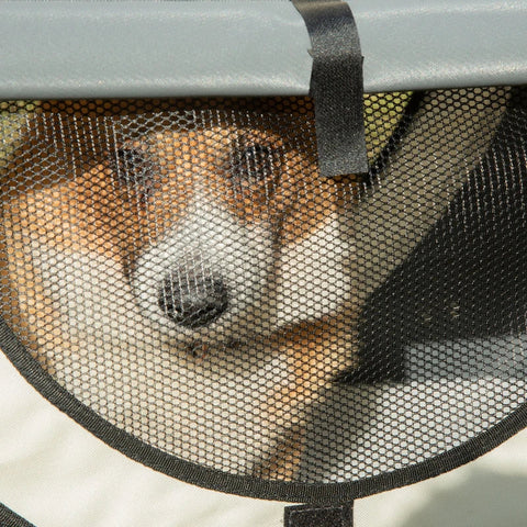 Rootz Hundebox – faltbare Hundetransportbox – Haustierrucksack mit Kissen – Reisetasche – Transportbox für Tiere – wasserdicht – Oxford-Stoff – dunkelgrau – 70 x 51 x 59 cm