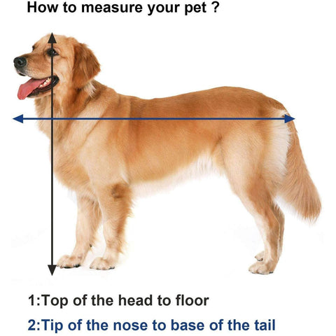 Rootz Transport Box - Dog Box - Transport Bag - Foldable Cat Box - Black