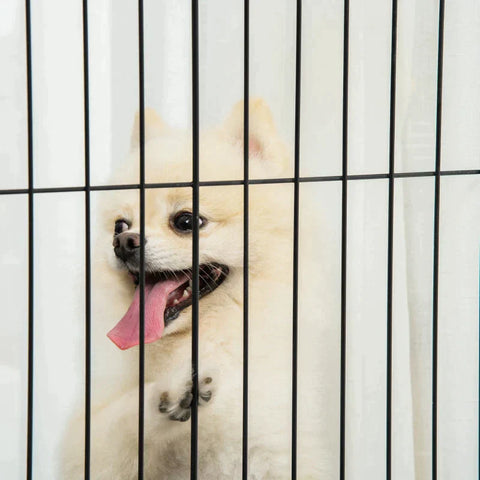 Rootz Pet Gate - Houten poort - Hondenpoort - Veiligheidshek - Wit - 305 x 35,5 x 82 cm