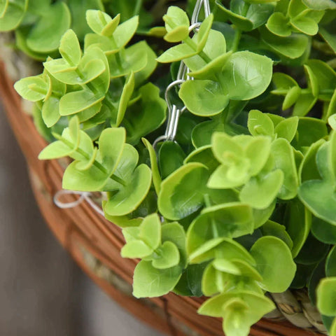 Rootz Clematis Florida Thunb - 2 Artificial Clematis Flowers - Artificial Plants Hanging - Plant Clematis In A Pot - With Hooks Decoration - Pink/Green - 30 x 30 x 32 cm