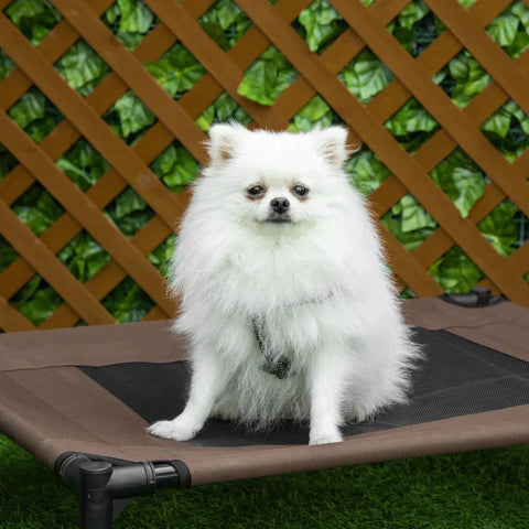 Rootz Dog Lounger - Dog Bed - Cat Bed - Pet Bed - Sleeping Place - Brown - 76 x 61 x 18 cm